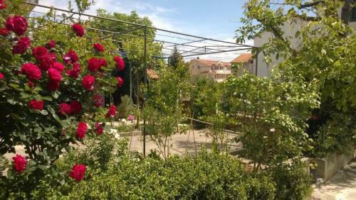 Apartments Bir