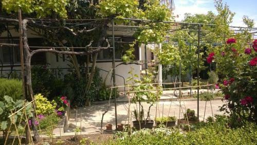 Apartments Bir