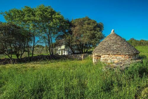 Holiday Home Bellissima