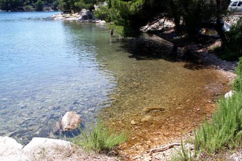Apartment Vrboska 13931a
