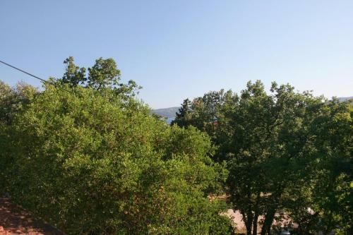 Apartment Pinezici 5440b