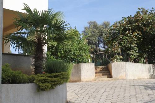 Apartment Vrsar 7129c