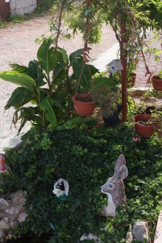 Hostal Apartments And Rooms With Parking Space Vrsi - Mulo (zadar) - 5765