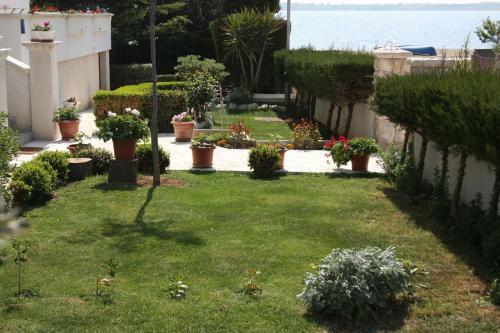 Apartment Vrsi - Mulo 6155d