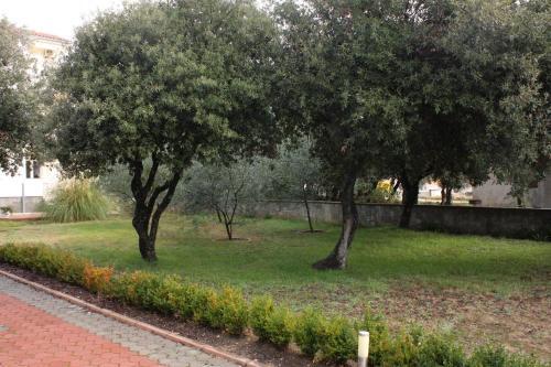 Apartment Vrsi - Mulo 5951d