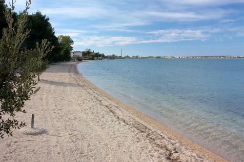 Apartment Vrsi - Mulo 5791a