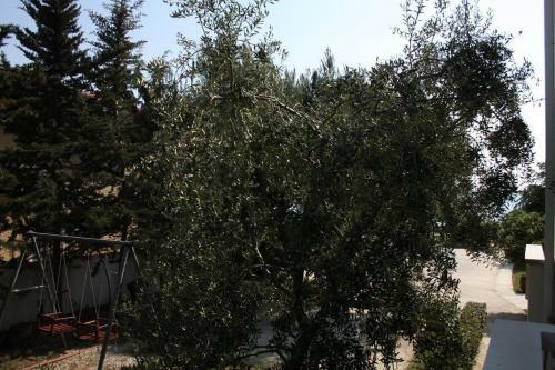 Apartment Vrsi - Mulo 6155a