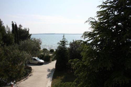 Apartment Vrsi - Mulo 6155e