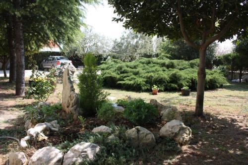 Apartment Vrsi - Mulo 6155c