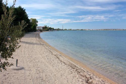 Apartment Vrsi - Mulo 5798b