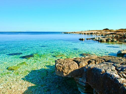Apartman Andrea L