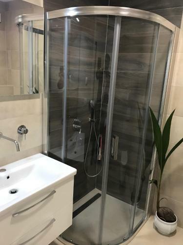 Apartman Andrea L