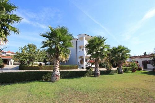 Hostal Apartments Anita