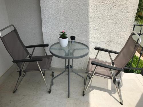 Apartment Branka