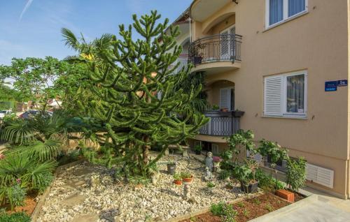 Apartamentos Nives Finida A4