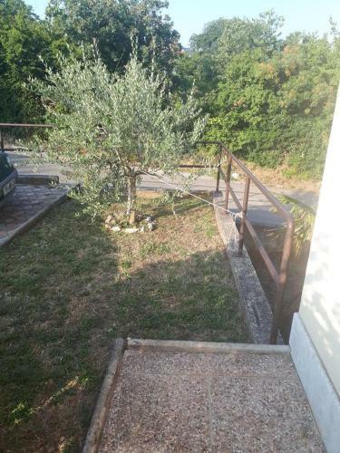 Apartments With A Parking Space Musalez (porec) - 15788