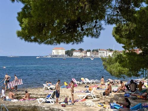 Apartment In Porec/istrien 10057