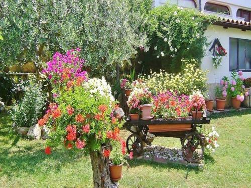 Apartment In Porec/istrien 10057