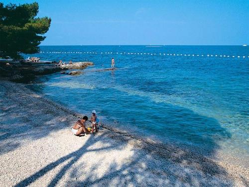 Apartment In Porec/istrien 10057