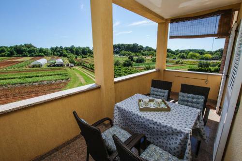 Apartment Concetta
