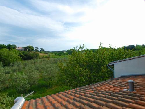 Apartments Dragana 1508