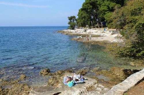 Apartment Porec 13141a