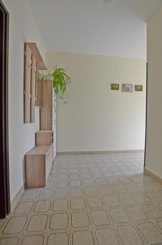 Apartment Velimir