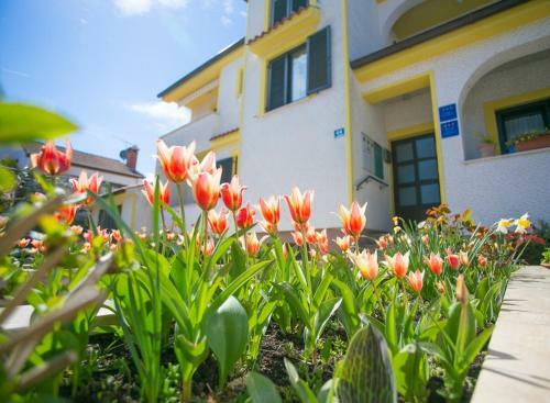 Hostal Apartment House Matosevic