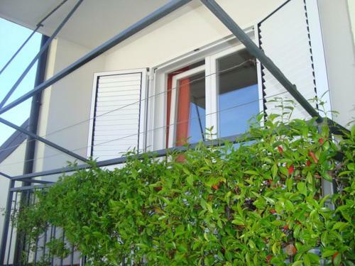 Apartment Robi
