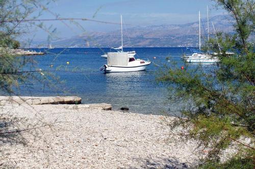 Apartments By The Sea Postira (brac) - 14902