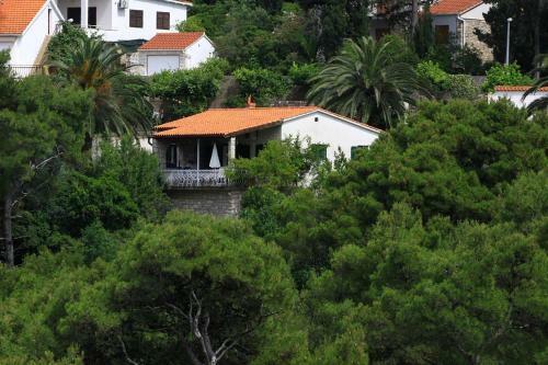 Seaside Holiday House Postira (brac) - 13001