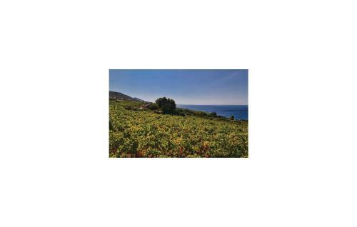 Holiday Home Postup 32
