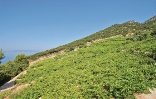 Holiday Home Peljesac-dingac-potocine With Outdoor Pool