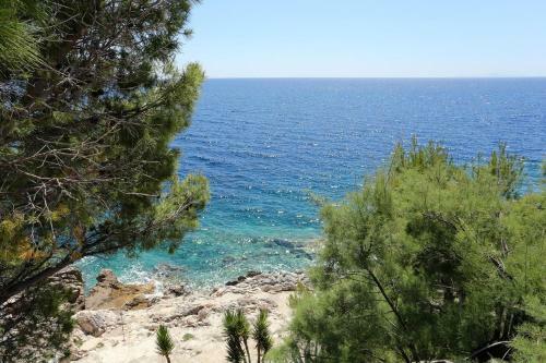 Apartment Dingac - Potocine 4533a