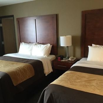 Hotel Comfort Inn & Suites