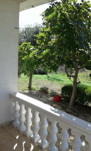 Apartamentos Dume