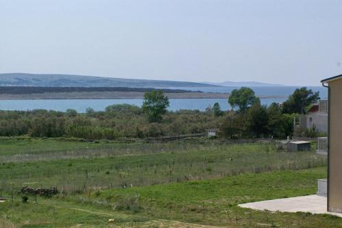 Apartment Povljana 229c