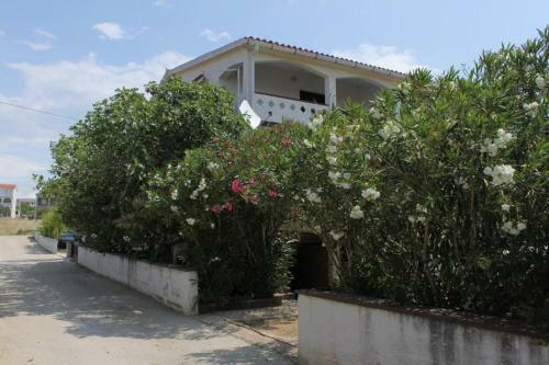 Apartment Povljana 227a