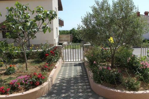 Apartments With A Parking Space Povljana (pag) - 6296