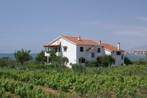 Apartment Povljana 230b