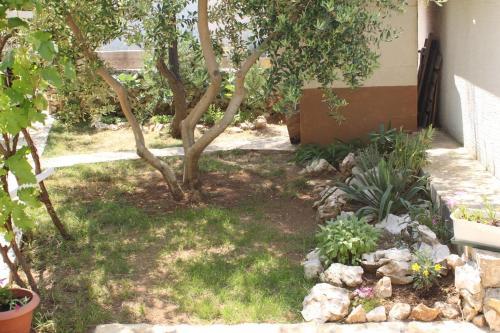 Apartamentos Studio Povljana 6501aa