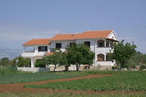 Apartment Povljana 230c