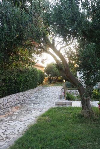 Apartments With A Parking Space Povljana (pag) - 6298