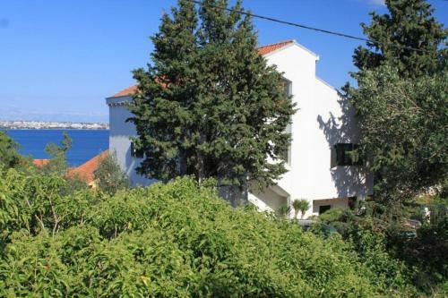 Apartment Preko 8431c