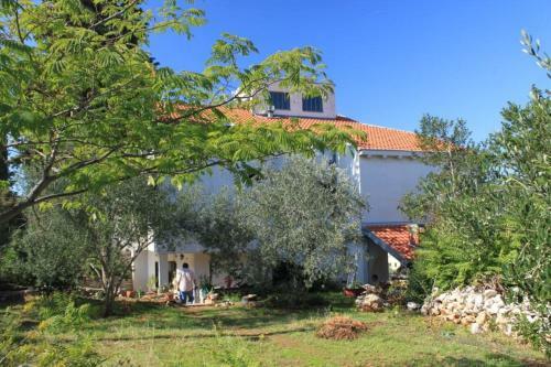 Apartment Preko 8431c