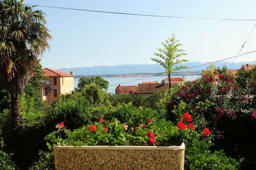 Hostal Rooms Mediterranean Gardens