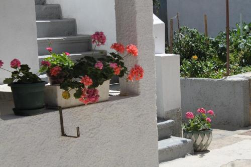 Apartments With A Parking Space Preko (ugljan) - 8179