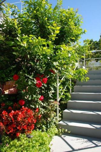 Apartments By The Sea Poljana (ugljan) - 8505