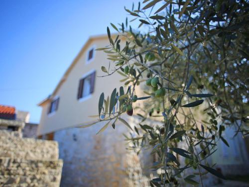 Holiday Home Vita