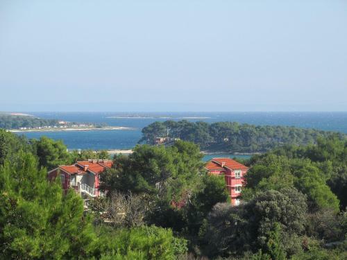 Apartment Branka